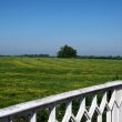 Field Names: A Secret History