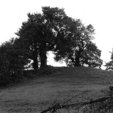 Brinklow Castle Mound (late 1960s, early 1970s). | Photo (c) Derek Earl