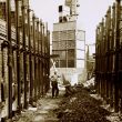 Photos of Haunchwood Brick and Tile Company