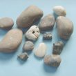 Far-travelled Pebbles in Your Garden