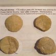 Warwickshire Pound-stones