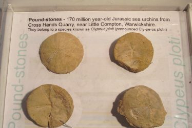 Warwickshire Pound-stones