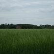 Wedgnock Park and the Banquet That Never Was