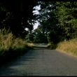 Then and Now: Elms in Warwickshire