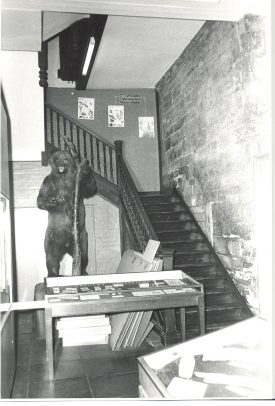 The Bear has lived in many places in Market Hall. here it is by the stairs to the first floor. | Photograph courtesy of Warwickshire Museum