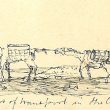 Christmas in the Crimea: George Waller