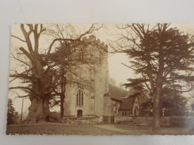 The Ancient Elm, Whitnash. This photograph was taken around the turn of the 20 th century. When the tree was cut down around 60 years later it was reputed to be over 1,000 years old. | Warwickshire County Record Office reference PH 352/200/13