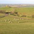 Warwickshire's Jurassic Country Park: the Burton Dassett Hills