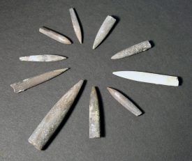 Belmnite fossils laid out in a circle. | Photo courtesy of Warwickshire Museum.