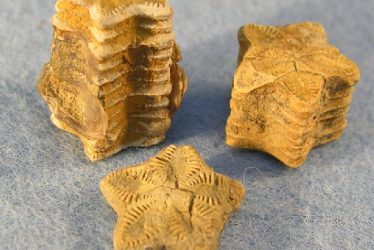Warwickshire's 'Star-stones'