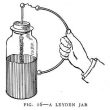 Lady Amherst's Earache