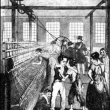Stratford-upon-Avon Pauper Apprentices