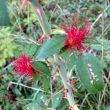 Autumn at Ryton Pools Country Park