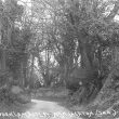 Dark Lane, Astley
