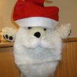The Trial of Santa Claus