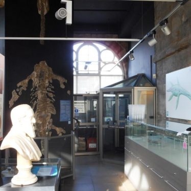 Plesiosaur before removal. The plesiosaur is at the back of the picture, in front on the left is a bust, and on the right a glass case. | Image courtesy of Jon Radley