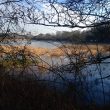 Welches Meadow, Leamington Spa