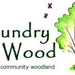 Friends of Foundry Wood
