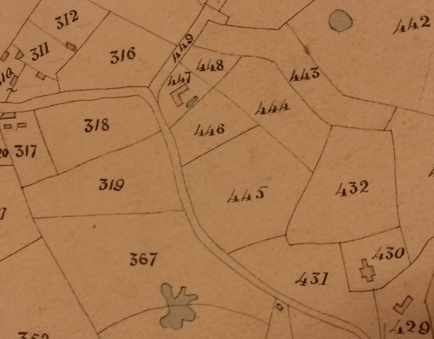 Rough Close (plot 445) on the Berkswell Tithe Map | Warwickshire County Record Office, CR569/29