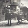 Memories of the Wight and Wagstaffe School, Harbury
