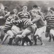 Shottery Rugby Club