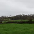 Site of Hill Figure at Sun Rising Covert
