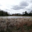 Abbey Pool