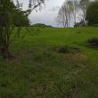 Shrunken Medieval Settlement at Church End, Shustoke