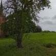 Shrunken Post Medieval Settlement at Church End