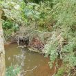 Offchurch Mill