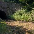 Curdworth Tunnel