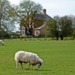 The Old Vicarage 350m SW of Wolfhampcote Hall