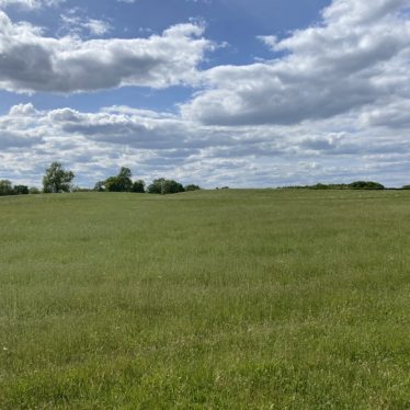Flat green field with sparse trees and blue sky in background | Image courtesy of Becky Rooney
