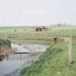 Cestersover Deserted Medieval Settlement
