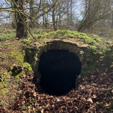 A close up view of the entrance to the Ice House with trees to the rear. | Image courtesy of Matt Page, Warwickshire County Council