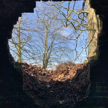 View from the inside of the Ice House, showing the full size of the entrance looking out to surrounding trees and blue sky. | Image courtesy of Matt Page, Warwickshire County Council