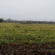 Site of Shrunken Medieval Settlement to S of Church