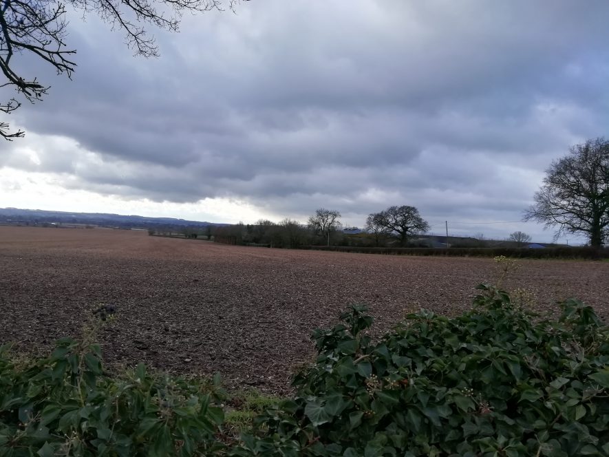 Photo of possible site of Anglo Saxon church Site 500m E of Hatton Rock | Image courtesy of Gary Stocker, February 2020.