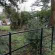 Radford Hall garden, Radford Semele, Warwick