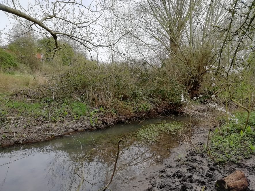 The site of Radford and Whitnash Water Mill. A river runs through the countryside with overhanging branches | Image courtesy of Gary Stocker, April 2020.