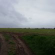 Roman Villa , W of Pounce Hill Farm, Radford Semele.