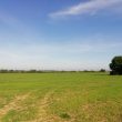 Roman coins found in Radford Semele