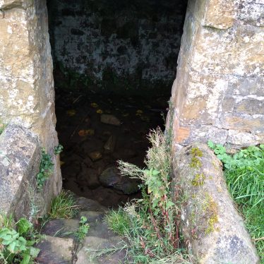 Close up of well entrance with overgrown steps leading down to well | Image courtesy of Graham Clutton