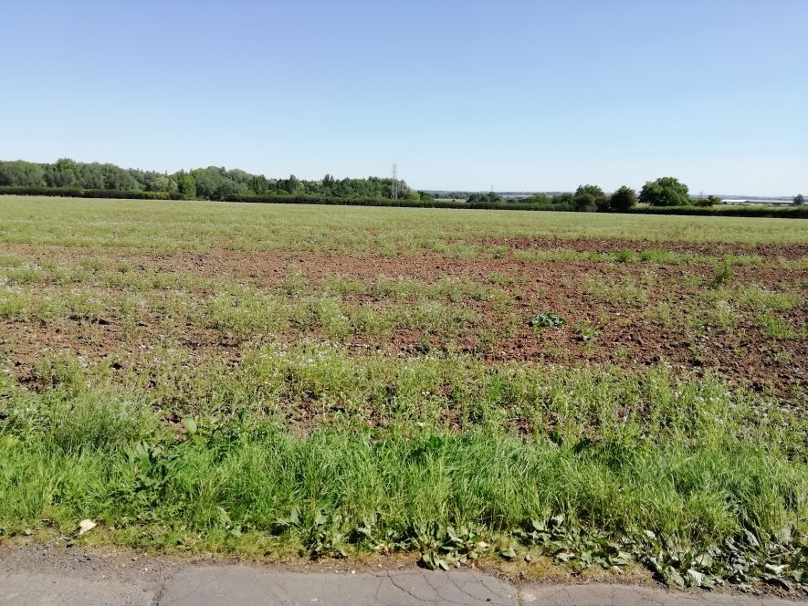 Flat, ploughed field with line of hedge in the distance | Image courtesy of Gary Stocker August 2020