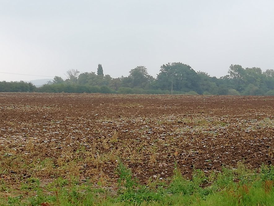 Ploughed field with red-brown earth. Trees and hedges on the skyline. | Image courtesy of Gary Stocker August 2020