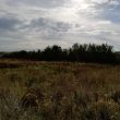 Possible Round Barrows 300m N of Gaydon