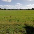 Linear Cropmarks 550m NW of Mill Farm, Ashorne
