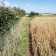 Site of Brick Kiln at Crown Hill