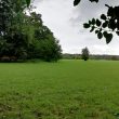 Ufton Rectory garden, Ufton
