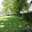 Euston Place Gardens, Leamington Spa